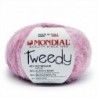 Tweedy de Lane Mondial