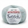 Tweedy de Lane Mondial